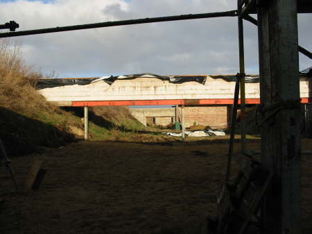 2004