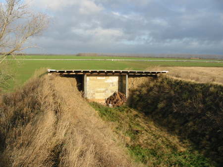 2004