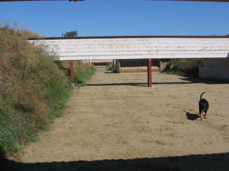 August 2006